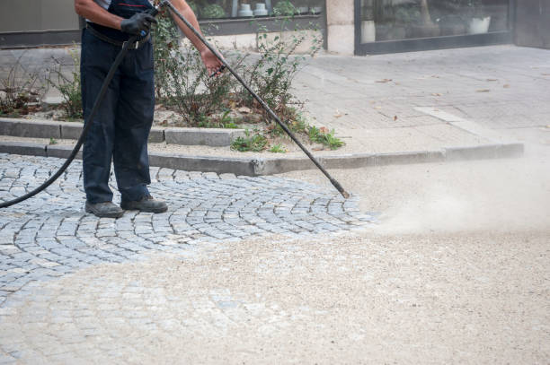 Best Animal Enclosure Cleaning  in Oak Valley, NJ